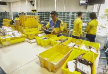 AliExpress e Correios firmam acordo para acelerar entregas no Brasil AliExpress e Correios firmam acordo para acelerar entregas no Brasil