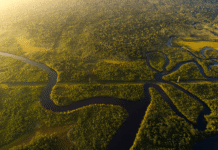 Amazônia registra menor desmatamento da série histórica em 2025, aponta MapBiomas Amazônia registra menor desmatamento da série histórica em 2025, aponta MapBiomas