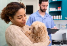Cães e gatos recebem atendimento gratuito no Outubro Rosa Pet Veterinária examinando uma cadela