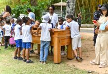 Festival em homenagem ao Dia das Crianças reúne 600 participantes no Parque da Cidade – Prefeitura Municipal de Salvador Festival em homenagem ao Dia das Crianças reúne 600 participantes no Parque da Cidade – Prefeitura Municipal de Salvador