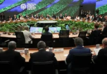 Holanda pretende injetar R$ 2,7 bilhões em fundo criado pelo Brasil #Acesse Política