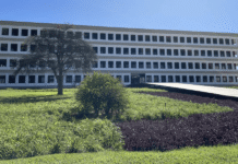 MPT pede indenização de R$ 50 mi a Meta e remoção de conteúdos de assédio eleitoral MPT pede indenização de R$ 50 mi a Meta e remoção de conteúdos de assédio eleitoral
