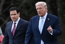 Posição de Trump sobre resultado eleitoral no Brasil exige atenção, diz PT Posição de Trump sobre resultado eleitoral no Brasil exige atenção, diz PT