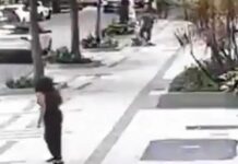 Professora aposentada da UFRJ é baleada em assalto na zona sul do Rio Professora aposentada da UFRJ é baleada em assalto na zona sul do Rio