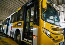 Transporte em Salvador será gratuito no segundo turno das eleições 2026 – Prefeitura Municipal de Salvador Transporte em Salvador será gratuito no segundo turno das eleições 2026 – Prefeitura Municipal de Salvador